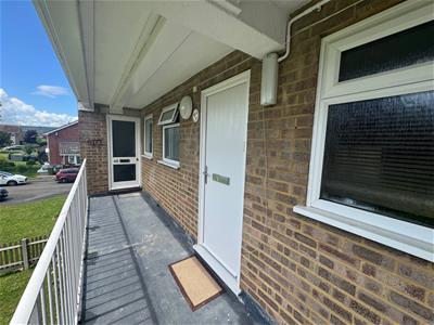Picture 7